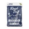 Road-Trip-Desert-Stardust-Mushroom-Gummies-8-Count-Pineapple