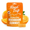 day trip microdosed mushroom gummies 20ct