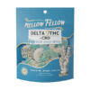 mellow-fellow-d9-800mg-ring-gummies-Blue-Razz