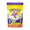 Purple-Cannadelic-Microdose-Gummies-(10ct)-6000mg-Pineapple