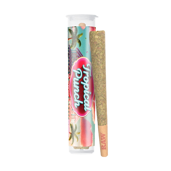 Zilly-Zanka-Hash-Hole-Pre-Roll-2g-Tropical-Punch