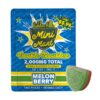 Hidden-Hills-Mini-Mart-Dual-Gummies-(2ct)-2000mg-Melon-Berry