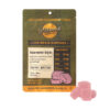 Wildwood-Live-Resin-Gummies-(5ct)-120mg-Watermelon-Mojito
